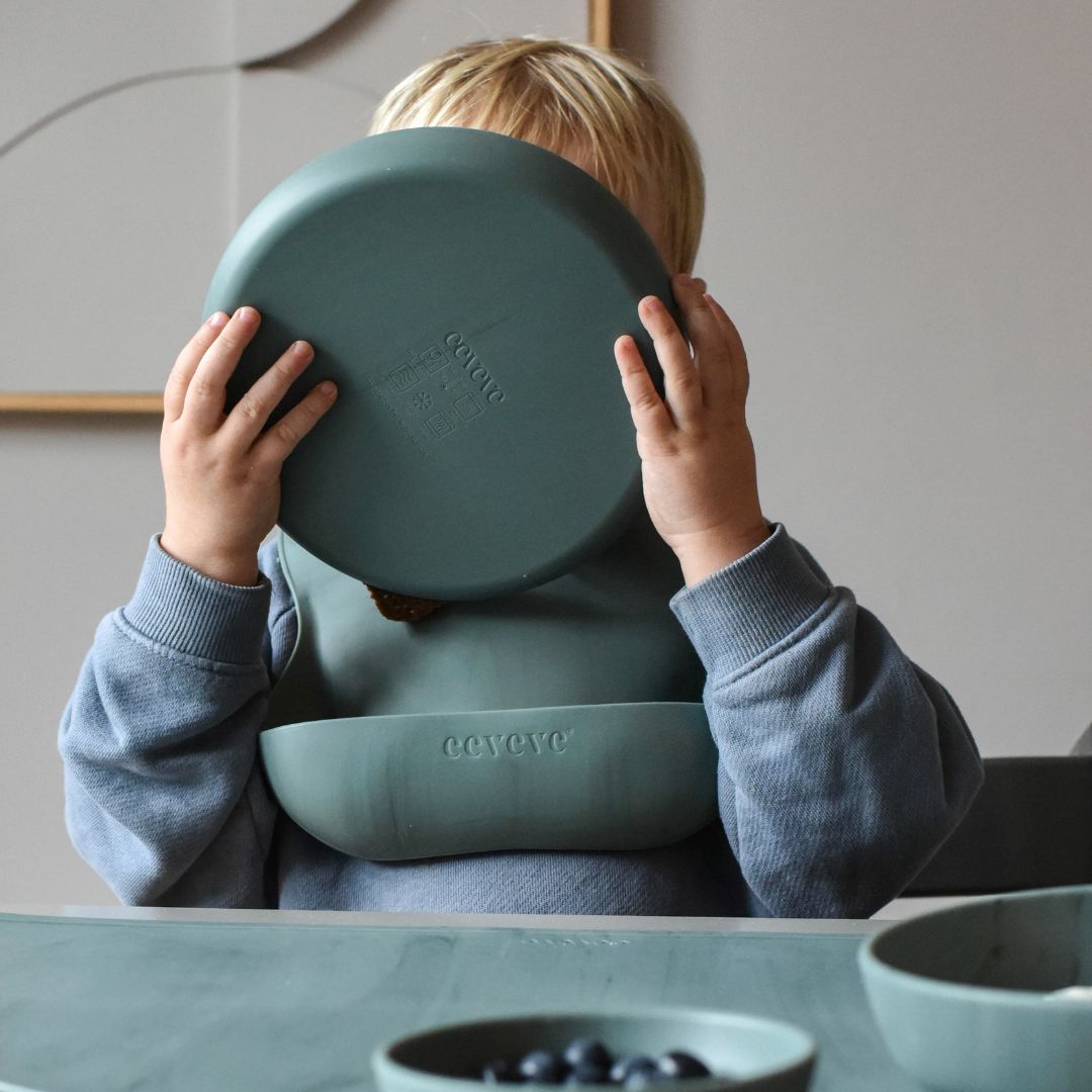 baby plate set